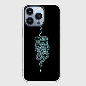 Чехол для iPhone 13 Pro с принтом вьющаяся змея в Кировске,  |  | animal | blue | curly | dangerous | deadly | ghostly | phobia | reptile | snake | вьющаяся | голубая | животное | змея | опаснавя | призрачная | фобия