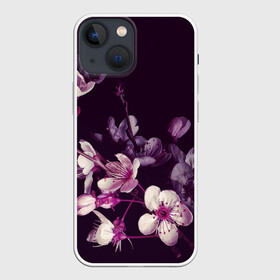 Чехол для iPhone 13 mini с принтом САКУРА НА ЧЁРНОМ ФОНЕ в Кировске,  |  | культура | природа | растение | сакура | цветёт | япония