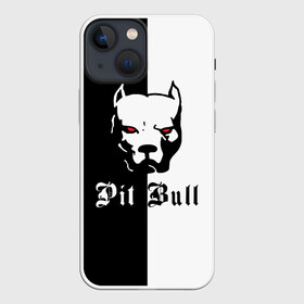 Чехол для iPhone 13 mini с принтом Pit Bull (боец) в Кировске,  |  | boxer | bulldog | fighting dog | pit bull | барбос | бобик | бойцовская собака | бойцовский пес | боксер | бульдог | волкодав | год со | друг человека | животное | зверь | ищейка | кинолог | кость | лайка | лапы | лев | пес