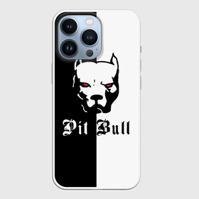 Чехол для iPhone 13 Pro с принтом Pit Bull (боец) в Кировске,  |  | boxer | bulldog | fighting dog | pit bull | барбос | бобик | бойцовская собака | бойцовский пес | боксер | бульдог | волкодав | год со | друг человека | животное | зверь | ищейка | кинолог | кость | лайка | лапы | лев | пес