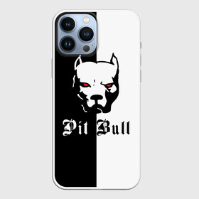 Чехол для iPhone 13 Pro Max с принтом Pit Bull (боец) в Кировске,  |  | boxer | bulldog | fighting dog | pit bull | барбос | бобик | бойцовская собака | бойцовский пес | боксер | бульдог | волкодав | год со | друг человека | животное | зверь | ищейка | кинолог | кость | лайка | лапы | лев | пес