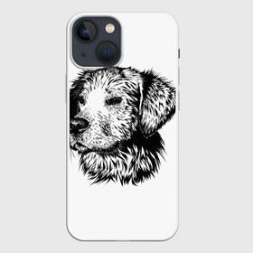 Чехол для iPhone 13 mini с принтом Дог   Dog в Кировске,  |  | дог | животные | принт | сабака | черно белое
