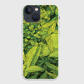 Чехол для iPhone 13 mini с принтом Растительная жизнь   Хоста в Кировске,  |  | весенний | зеленый | листья | растения | салатовый | свежий | хоста | цветы