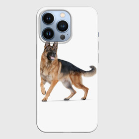 Чехол для iPhone 13 Pro с принтом немчики в Кировске,  |  | german shepherd | немец | немецкая овчарка | служебник | собака