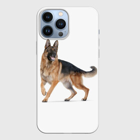 Чехол для iPhone 13 Pro Max с принтом немчики в Кировске,  |  | german shepherd | немец | немецкая овчарка | служебник | собака