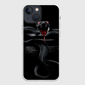 Чехол для iPhone 13 mini с принтом ЗМЕЯ НА КАМНЕ  НА ЧЕРНОМ ФОНЕ в Кировске,  |  | камень | клыки | кобра | нападение | укус | хищник | яд