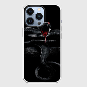 Чехол для iPhone 13 Pro с принтом ЗМЕЯ НА КАМНЕ  НА ЧЕРНОМ ФОНЕ в Кировске,  |  | камень | клыки | кобра | нападение | укус | хищник | яд