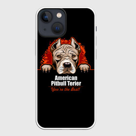 Чехол для iPhone 13 mini с принтом Американский Питбультерьер (Pit Bull) в Кировске,  |  | american pit bull terrier | boxer | bulldog | fighting dog | pit bull | американский питбультерьер | бойцовская собака | бойцовский пес | боксер | бульдог | волкодав | друг человека | кинолог | пес | питбуль | питбультерьер