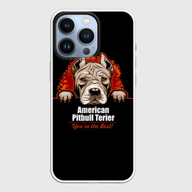 Чехол для iPhone 13 Pro с принтом Американский Питбультерьер (Pit Bull) в Кировске,  |  | american pit bull terrier | boxer | bulldog | fighting dog | pit bull | американский питбультерьер | бойцовская собака | бойцовский пес | боксер | бульдог | волкодав | друг человека | кинолог | пес | питбуль | питбультерьер