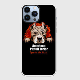 Чехол для iPhone 13 Pro Max с принтом Американский Питбультерьер (Pit Bull) в Кировске,  |  | american pit bull terrier | boxer | bulldog | fighting dog | pit bull | американский питбультерьер | бойцовская собака | бойцовский пес | боксер | бульдог | волкодав | друг человека | кинолог | пес | питбуль | питбультерьер