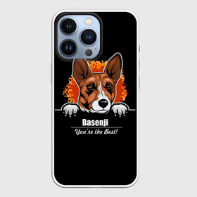 Чехол для iPhone 13 Pro с принтом Басенджи (Basenji) в Кировске,  |  | african dog | animal | basenji | congo terrier | dog | африканская собака | басенджи | год собаки | друг человека | животное | зверь | кинолог | конго терьер | пёс | собака басенджи | собаковод | четвероногий
