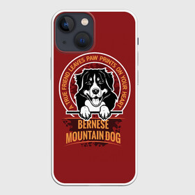 Чехол для iPhone 13 mini с принтом Бернский Зенненхунд (Bernese Mountain) в Кировске,  |  | anim | bernese mountain dog | bernese sheepdog | dog | бернская овчарка | бернский зенненхунд | год собаки | друг человека | животное | зверь | кинолог | овчарка | пастушья собака | пёс | порода собак