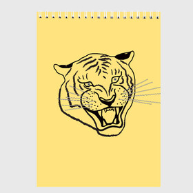 Скетчбук с принтом тигр на золотом фоне в Кировске, 100% бумага
 | 48 листов, плотность листов — 100 г/м2, плотность картонной обложки — 250 г/м2. Листы скреплены сверху удобной пружинной спиралью | Тематика изображения на принте: art line | chinese calendar | contour | golden | head | mascot | muzzle | new year | symbol | tiger | year of the tiger | арт лайн | год тигра | голова | золотой | китайский календарь | контур | новогодний | новый год | символ | талисман | тигр