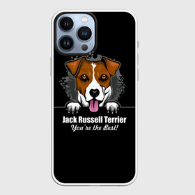 Чехол для iPhone 13 Pro Max с принтом Джек Рассел Терьер (Jack Russell Terrier) в Кировске,  |  | Тематика изображения на принте: animal | dog terrier | jack russell terrier | год собаки | джек рассел терьер | друг человека | животное | зверь | кинолог | охотничья собака | пёс | пёсик | собака джек рассел терьер | собаковод | терьер