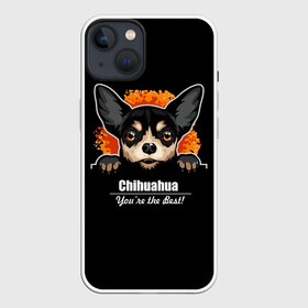 Чехол для iPhone 13 с принтом Чихуахуа (Chihuahua) в Кировске,  |  | animal | chihuahua | dog | год собаки | друг человека | животное | зверь | карликовая собачка | карманная собачка | кинолог | маленькая собака | пёс | пёсик | собака чихуахуа | собаковод | четвероногий