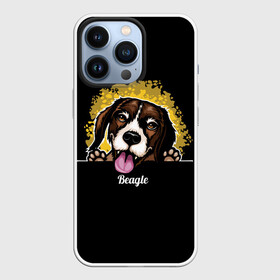 Чехол для iPhone 13 Pro с принтом Бигль (Beagle) в Кировске,  |  | animal | beagle | dog | hunting dog | бигль | год собаки | гончая собака | друг человека | животное | зверь | кинолог | охотничья собака | пес | порода собак | собака бигль | собаковод | собачка | хищник