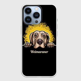 Чехол для iPhone 13 Pro с принтом Веймаранер (Weimaraner) в Кировске,  |  | Тематика изображения на принте: animal | dog | hunting dog | weimaraner | веймаранер | веймарская овчарка | год собаки | друг человека | животное | зверь | кинолог | легавая | охотничья собака | пёс | порода собак | собака | собака веймаранер