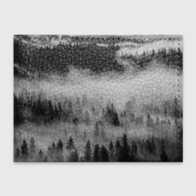 Обложка для студенческого билета с принтом ТУМАННЫЙ ЛЕС | FOREST в Кировске, натуральная кожа | Размер: 11*8 см; Печать на всей внешней стороне | forest | деревья | дым | лес | мрачный лес | природа | туман