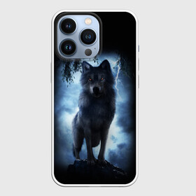 Чехол для iPhone 13 Pro с принтом ВОЛК БРОДЯГА в Кировске,  |  | animals | dark | gray | hunter | night | wolf | бродяга | волк | животные | звери | ночь | одиночка | охотник | серый | хищник