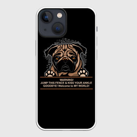 Чехол для iPhone 13 mini с принтом Собака Мопс в Кировске,  |  | bulldog | pug | pug dog | pug puppies | бульдог | год собаки | друг человека | дружные мопсы | дядя мопс | животное | зверь | кинолог | мопс | пёс | порода собак | собака боксёр | собака мопс | собаковод | четвероногий