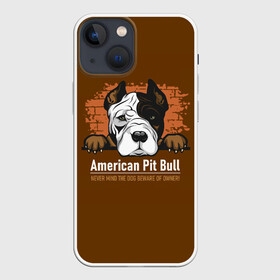 Чехол для iPhone 13 mini с принтом Американский Питбультерьер (Pit Bull Terrier) в Кировске,  |  | american pit bull terrier | boxer | bulldog | fighting dog | pit bull | американский питбультерьер | бойцовская собака | бойцовский пес | боксер | бульдог | волкодав | друг человека | кинолог | пес | питбуль | питбультерьер