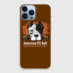 Чехол для iPhone 13 Pro Max с принтом Американский Питбультерьер (Pit Bull Terrier) в Кировске,  |  | american pit bull terrier | boxer | bulldog | fighting dog | pit bull | американский питбультерьер | бойцовская собака | бойцовский пес | боксер | бульдог | волкодав | друг человека | кинолог | пес | питбуль | питбультерьер