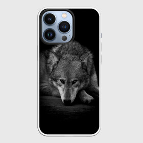 Чехол для iPhone 13 Pro с принтом Волк, на черном фоне в Кировске,  |  | wolf | wolfs | волк | волки | волчара | животные | звери | лес | природа