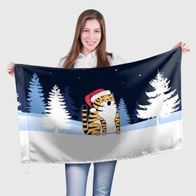 Флаг 3D с принтом Удивленный тигр 2022 в Кировске, 100% полиэстер | плотность ткани — 95 г/м2, размер — 67 х 109 см. Принт наносится с одной стороны | 2022 | год тигра | новый год | новый год 2022 | символ года | тигр | тигренок | тигрица | тигры