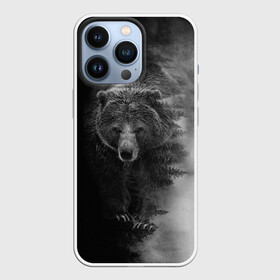 Чехол для iPhone 13 Pro с принтом EVIL BEAR в Кировске,  |  | животное | зверь | злой медведь | злой хищник | лес | оскал медведя | охота | охотник | подарок мужчине | природа | тайга