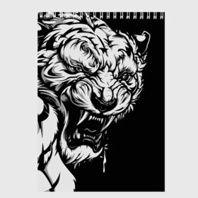 Скетчбук с принтом Тигр: свирепый и кровожадный в Кировске, 100% бумага
 | 48 листов, плотность листов — 100 г/м2, плотность картонной обложки — 250 г/м2. Листы скреплены сверху удобной пружинной спиралью | 2022 | bloodthirsty | ferocious | look | powerful | predator | strong | tiger | year of the tiger | взгляд | год тигра | кровожадный | мощный | свирепый | сильный | тигр | хищник