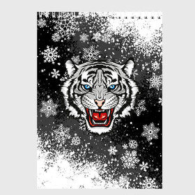 Скетчбук с принтом НОВОГОДНИЙ БЕЛЫЙ ТИГР 2022 в Кировске, 100% бумага
 | 48 листов, плотность листов — 100 г/м2, плотность картонной обложки — 250 г/м2. Листы скреплены сверху удобной пружинной спиралью | 2022 | beast | merry christmas | new year | red bow | santa hat | snow | tiger | winter | winter is coming | year of the tiger | год тигра | дед мороз | животные | звери | зверь | зима | зима 2022 | зима близко | новог | новогодни