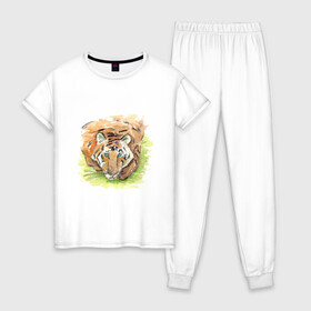 Женская пижама хлопок с принтом Портрет тигра с зелёными глазами в Кировске, 100% хлопок | брюки и футболка прямого кроя, без карманов, на брюках мягкая резинка на поясе и по низу штанин | 2022 | глаза | животное | зверь | китайский календарь | кошка | новый год | оранжевый | полоски | символ года | тигр | хищник