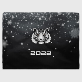 Плед 3D с принтом Новогодний тигр символ 2022. в Кировске, 100% полиэстер | закругленные углы, все края обработаны. Ткань не мнется и не растягивается | 2022 | merry christmas | год тигра | зима близко | нг | новогодний | новогодний тигр | новогодняя символика | новый год | новый год 2022 | рождество | символ 2022 года | снег | снежинки | тигр