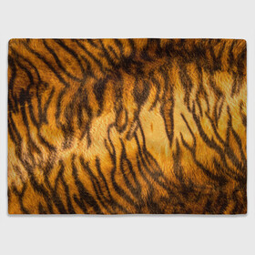 Плед 3D с принтом Шкура тигра 2022 в Кировске, 100% полиэстер | закругленные углы, все края обработаны. Ткань не мнется и не растягивается | 2022 | год тигра | новый год | новый год 2022 | символ года | тигр | тигренок | тигрица | тигры