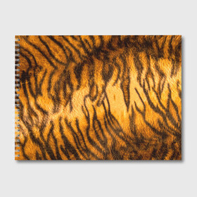 Альбом для рисования с принтом Шкура тигра 2022 в Кировске, 100% бумага
 | матовая бумага, плотность 200 мг. | 2022 | год тигра | новый год | новый год 2022 | символ года | тигр | тигренок | тигрица | тигры