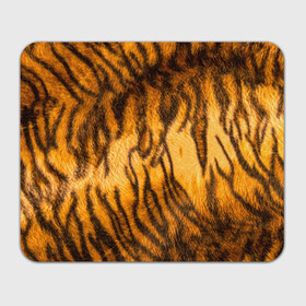 Прямоугольный коврик для мышки с принтом Шкура тигра 2022 в Кировске, натуральный каучук | размер 230 х 185 мм; запечатка лицевой стороны | 2022 | год тигра | новый год | новый год 2022 | символ года | тигр | тигренок | тигрица | тигры