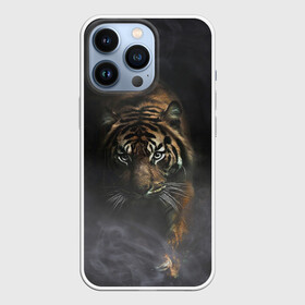 Чехол для iPhone 13 Pro с принтом Тигр в тумане в Кировске,  |  | tiger | восточный тигр | год тигра | голова | дым | кошка | тигр | тигренок | туман | хищник