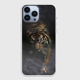 Чехол для iPhone 13 Pro Max с принтом Тигр в тумане в Кировске,  |  | tiger | восточный тигр | год тигра | голова | дым | кошка | тигр | тигренок | туман | хищник