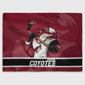 Плед 3D с принтом Аризона Койотис Arizona Coyotes в Кировске, 100% полиэстер | закругленные углы, все края обработаны. Ткань не мнется и не растягивается | Тематика изображения на принте: arizona | arizona coyotes | coyotes | hockey | nhl | usa | аризона | аризона койотис | койотис | нхл | спорт | сша | феникс | финикс койотс | хоккей | шайба