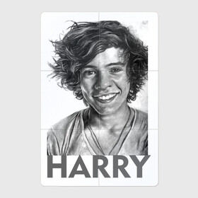 Магнитный плакат 2Х3 с принтом Harry  Styles в Кировске, Полимерный материал с магнитным слоем | 6 деталей размером 9*9 см | harry edward styles | британец | бритпопо | гарри стайлс | дирекшин | дирекшины