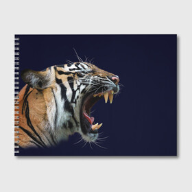 Альбом для рисования с принтом Оскал тигра | Большая кошка в Кировске, 100% бумага
 | матовая бумага, плотность 200 мг. | 2022 | big teeth | fangs | grin | tiger | tigr | tigris | большая кошка | большие зубы | клыки | новый год | оскалиться | острые клыки | полосатая кошка | скалить | скалить зубы | тигр