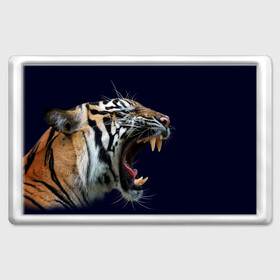 Магнит 45*70 с принтом Оскал тигра | Большая кошка в Кировске, Пластик | Размер: 78*52 мм; Размер печати: 70*45 | Тематика изображения на принте: 2022 | big teeth | fangs | grin | tiger | tigr | tigris | большая кошка | большие зубы | клыки | новый год | оскалиться | острые клыки | полосатая кошка | скалить | скалить зубы | тигр