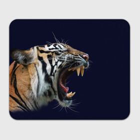 Прямоугольный коврик для мышки с принтом Оскал тигра | Большая кошка в Кировске, натуральный каучук | размер 230 х 185 мм; запечатка лицевой стороны | 2022 | big teeth | fangs | grin | tiger | tigr | tigris | большая кошка | большие зубы | клыки | новый год | оскалиться | острые клыки | полосатая кошка | скалить | скалить зубы | тигр