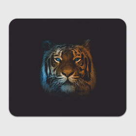 Прямоугольный коврик для мышки с принтом Тигр с голубыми глазами в Кировске, натуральный каучук | размер 230 х 185 мм; запечатка лицевой стороны | tiger | животное | символ года | тигр | хищник