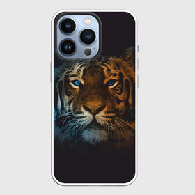 Чехол для iPhone 13 Pro с принтом Тигр с голубыми глазами в Кировске,  |  | tiger | животное | символ года | тигр | хищник