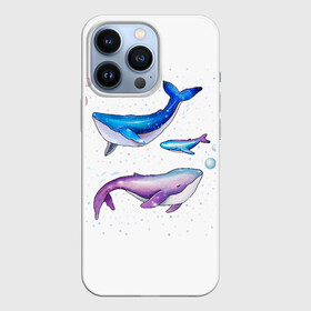 Чехол для iPhone 13 Pro с принтом Семья китов в Кировске,  |  | китенок | киты | малыш | мама | море | папа | под водой | семья | трое