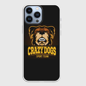 Чехол для iPhone 13 Pro Max с принтом CRAZY DOGS в Кировске,  |  | Тематика изображения на принте: animal | dog | барбос | бобик | гнев | год собаки | друг человека | животное | зверь | злая собака | злость | зубы | ищейка | кинолог | кость | лайка | ненависть | оскал | пёс | собака | собаковод