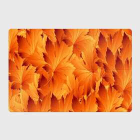 Магнитный плакат 3Х2 с принтом Кленовая сладость в Кировске, Полимерный материал с магнитным слоем | 6 деталей размером 9*9 см | желтый | клен | кленовый лист | лист | листопад | листья | оранжевый | осень
