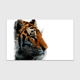 Бумага для упаковки 3D с принтом ДУХ ДИКОЙ СИБИРИ в Кировске, пластик и полированная сталь | круглая форма, металлическое крепление в виде кольца | 2022 | amur tiger | beast | fangs | happy new year | merry christmas | new year | predator | snow | stars | stern grin | stern look | winter | year of the tiger | амурский тигр | год тигра | дух | зверь | зима | клыки | новый год | сибирь | снег