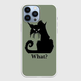 Чехол для iPhone 13 Pro Max с принтом What Что в Кировске,  |  | black cat | cat | fearsome | halloween | question | silhouette | stern look | what | вопрос | кошка | силуэт | суровый взгляд | хеллоуин | черный кот | что